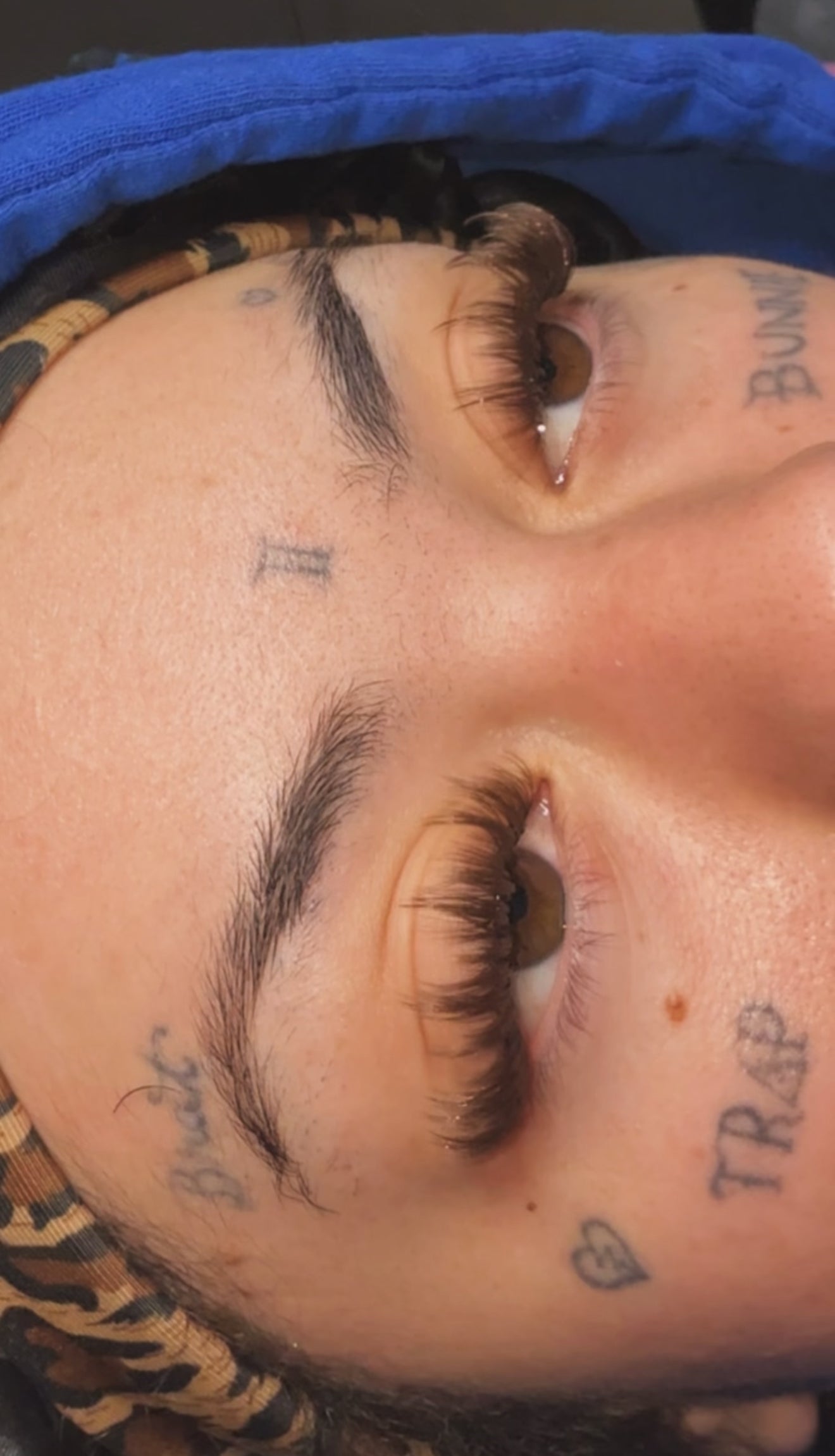 brown lashes try on using cc and d curl in an anime lash map